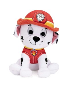 Accueil| Produits StoreProShop