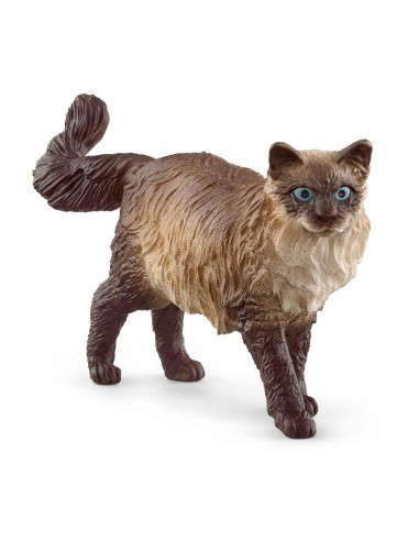 Schleich chat Ragdoll 13940 – SCHLEICH (Poupee) | STORE PRO SHOP 
