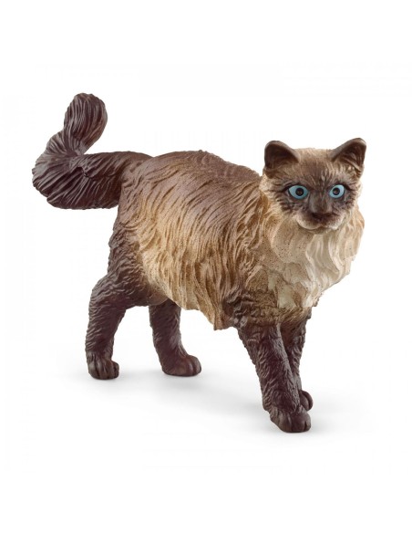 Schleich chat Ragdoll 13940 – SCHLEICH (Poupee) | STORE PRO SHOP 