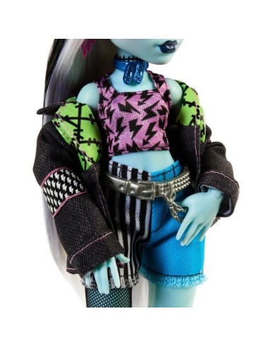 Monster High-Poupée Frankie Stein-Poupée avec animal et accessoires HXH73 – MONSTER HIGH (Poupee) | STORE PRO SHOP 