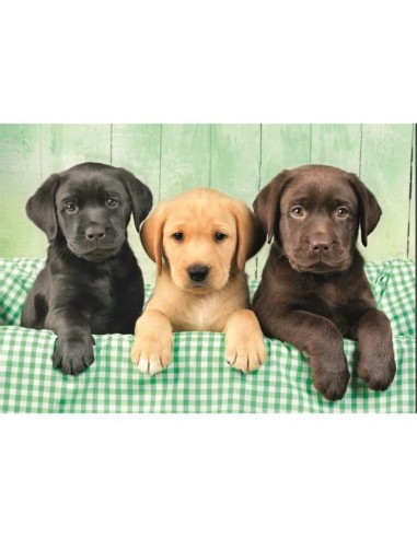 CLEMENTONI - Compact 1000 pieces - Three Labs – CLEMENTONI (Puzzle) | STORE PRO SHOP 