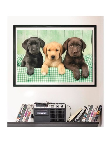 CLEMENTONI - Compact 1000 pieces - Three Labs – CLEMENTONI (Puzzle) | STORE PRO SHOP 