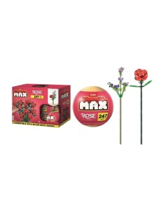 Accueil| Produits StoreProShop 2