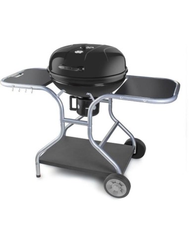 Barbecue au charbon de bois - Fieldmann - FZG 1014 – FIELDMANN (Barbecue) | STORE PRO SHOP 