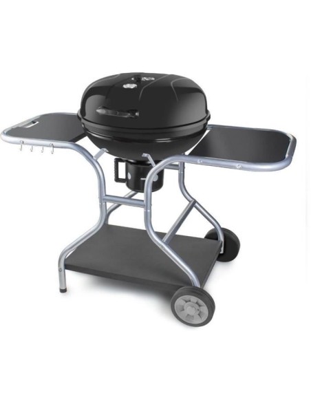 Barbecue au charbon de bois - Fieldmann - FZG 1014 – FIELDMANN (Barbecue) | STORE PRO SHOP 