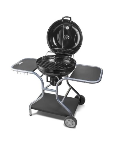 Barbecue au charbon de bois - Fieldmann - FZG 1014 – FIELDMANN (Barbecue) | STORE PRO SHOP 