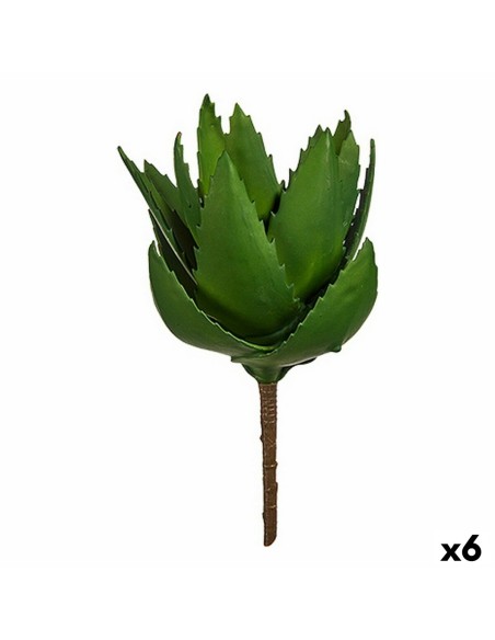 Plante décorative Aloe Vera 13 x 24,5 x 14 cm Vert Plastique (6 Unités)